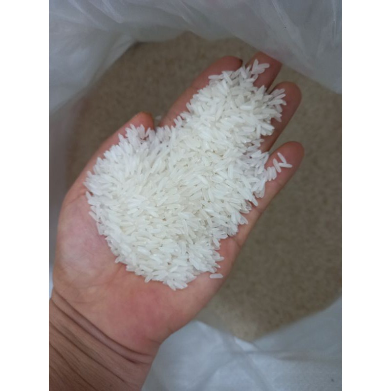 Gạo Tám Thái ( 10kg ) GẠO MỚI