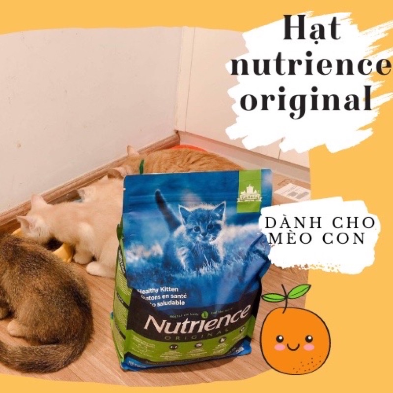 Hạt Nutrience Kitten Cho Mèo Con - Gà &amp; Rau Củ Quả