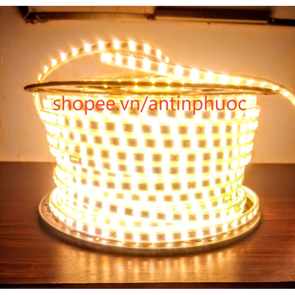 Đèn led dây đôi 220v trang trí , ánh sáng nền - Dây led đôi 2835 hắc trần màu trắng ,vàng siêu sáng quấn cây , ốp tường | BigBuy360 - bigbuy360.vn