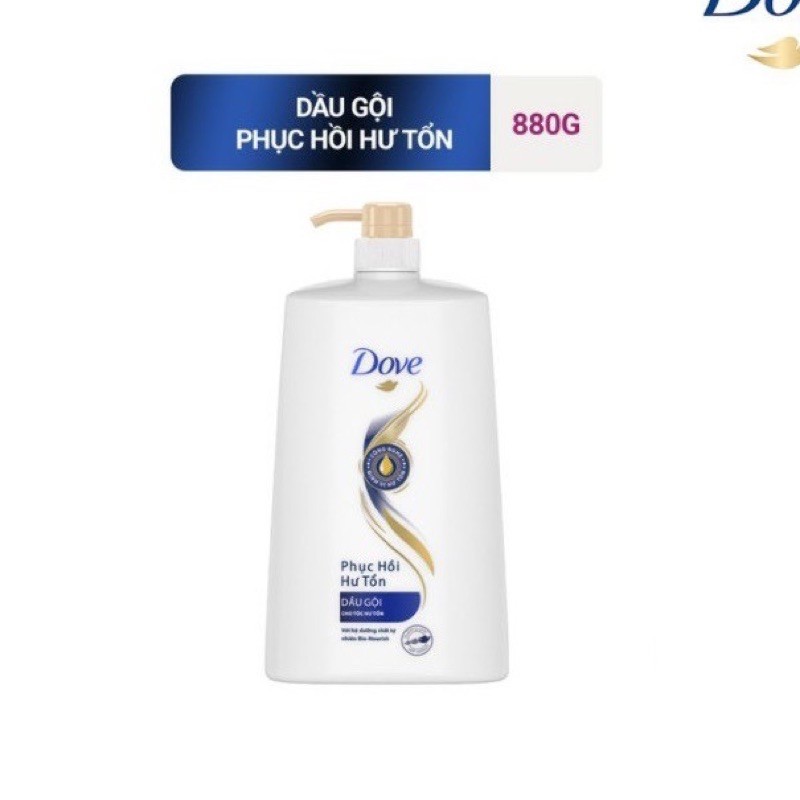 Dầu gội Dove phục hồi hư tổn 880g | BigBuy360 - bigbuy360.vn