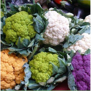 20 Hạt giống súp lơ mix màu ( bông cải mix )
