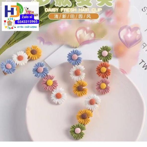 Sét 2 kẹp tóc 6 hoa cúc
