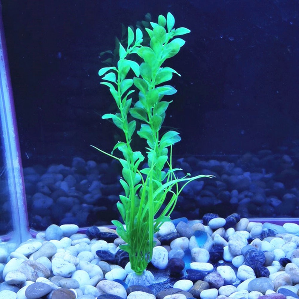 Cây Nhân Tạo Trang Trí Bể Cá Thiết Kế Độc Đáo