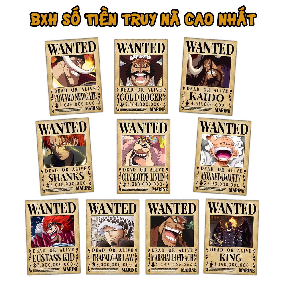 Poster truy tìm One Piece kích thước A3 (42*29 cm) - nhân vật One Piece TO04