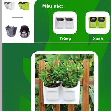 Bộ Đôi Chậu Hoa Treo, Chậu Tự Dưỡng Trồng Cây, Chậu Bonsai, Chậu Quà Tặng Trồng Cây, Chậu Đa Nắng Treo Đâu Cũng Đẹp