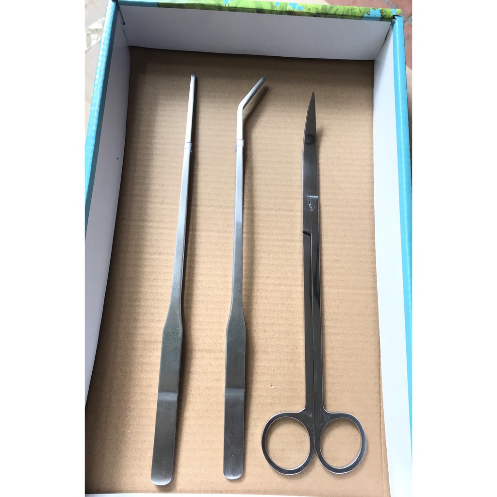 Bộ kéo nhíp trồng và cắt tỉa cây thủy sinh 3 món