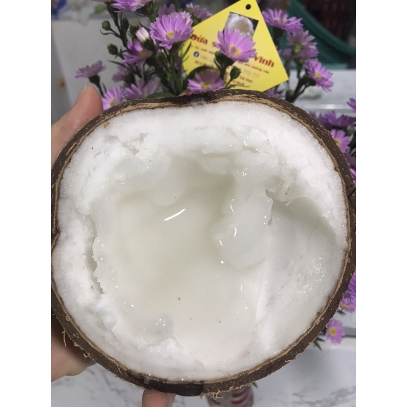 Dừa sáp Trà Vinh tại vườn giá sỉ dưới 1kg