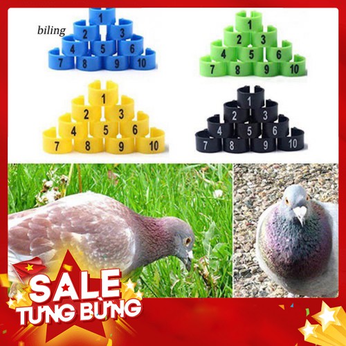 SET 100 VÒNG ĐEO CHÂN CHO CHIM-VÒNG ĐEO CHÂN CÓ ĐÁNH SỐ-PHỤ KIỆN CHO CHIM GIÁ RẺ