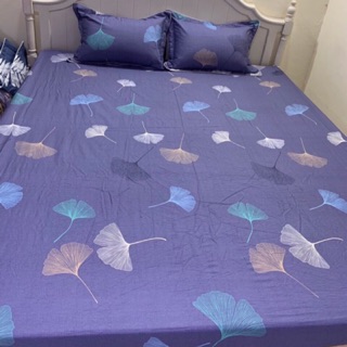 Ga gối 100% cotton Hàn quốc siêu mềm mịn