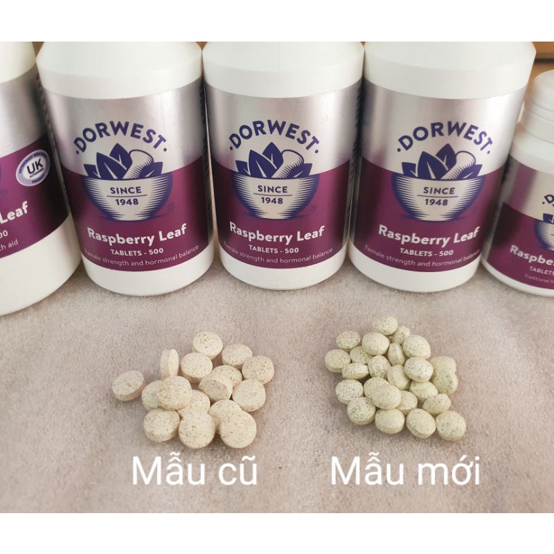 Dorwest hỗ trợ cho mèo bầu, mang thai