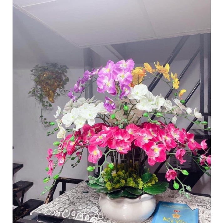 LAN HỒ ĐIỆP 9b