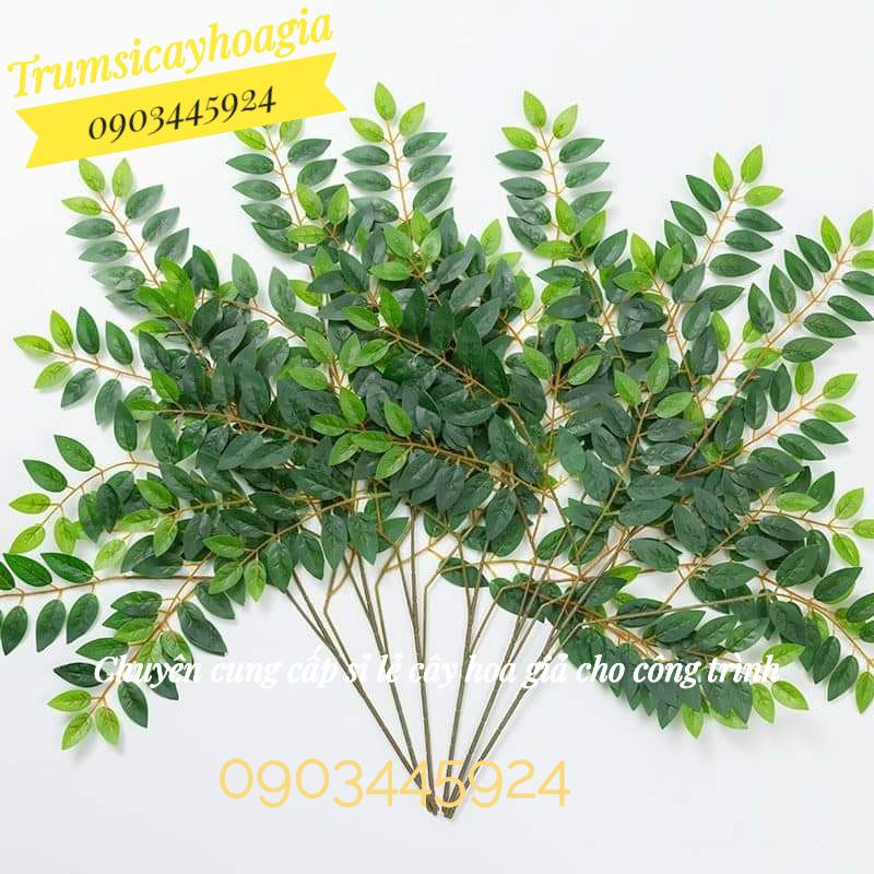 Cành lá khế giống thật làm cây giả trang trí- Trumsicayhoagia