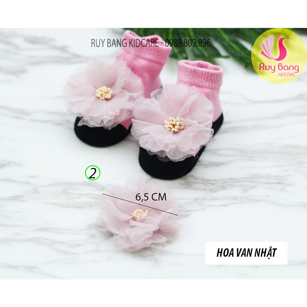 Hoa voan nhật