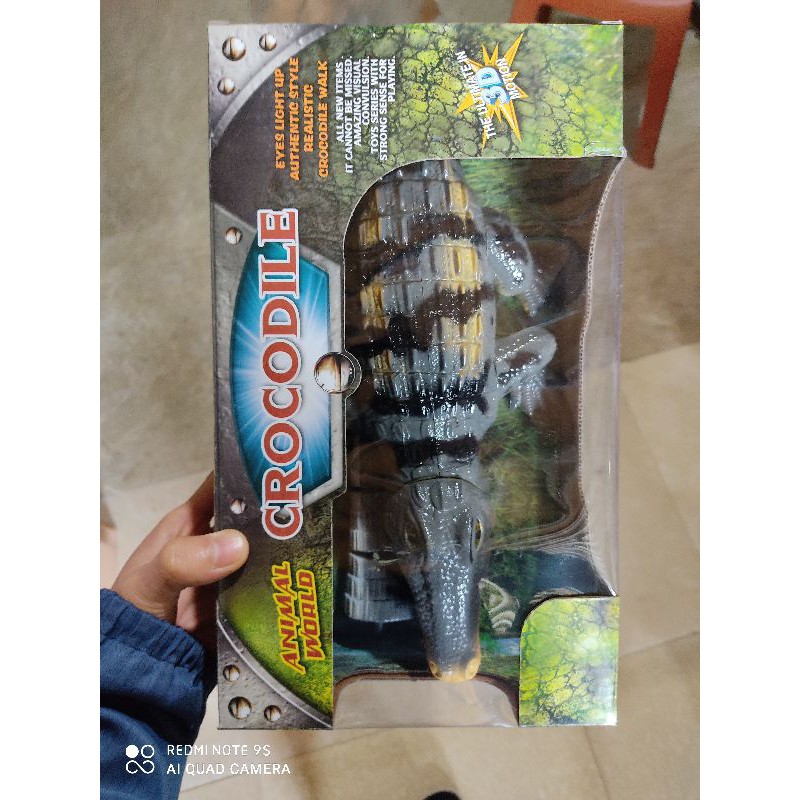 cá sấu pin dài khoảng 35cm