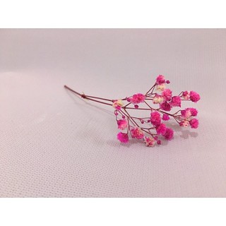 🍁Nhánh hoa khô Baby làm đồ handmade 🍁phụ kiện chụp ảnh🍁hoa khô nguyên liệu