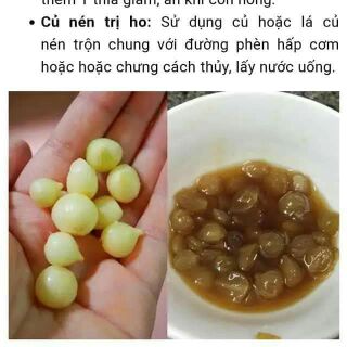 1 kg hành tăm