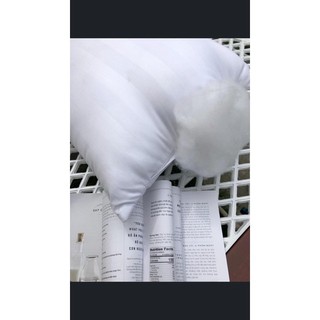 Đôi ruột gối trắng cao cấp