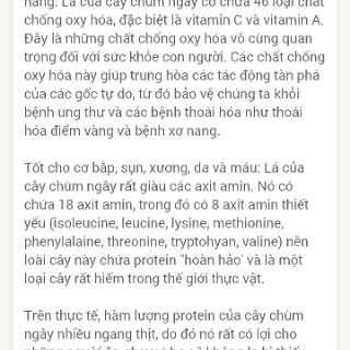 Freeship _ 200gr Trà Chùm Ngây Nguyên Chất