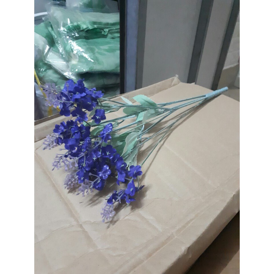 Hoa giả - Hoa lavender