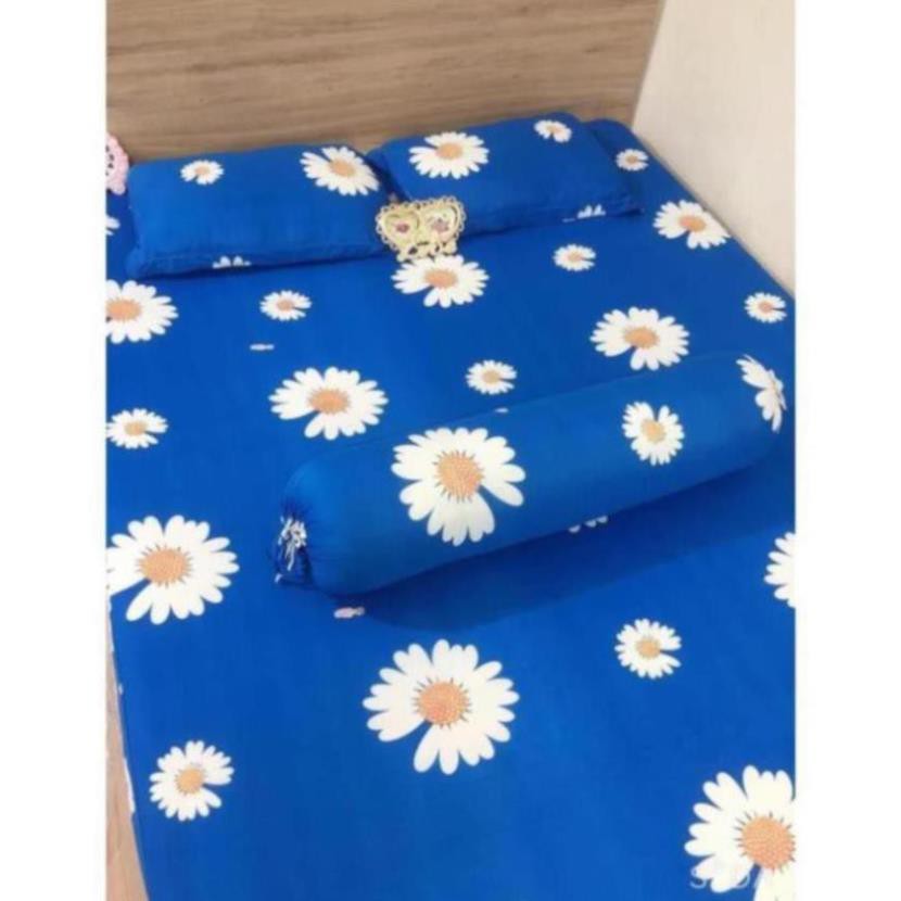 GIẢM MẠNH Bộ Ga Drap Giường Thun Lạnh tặng thêm võ gối ôm