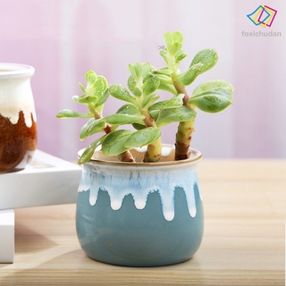 Chậu Cây Mini Bằng Gốm Dễ Thương