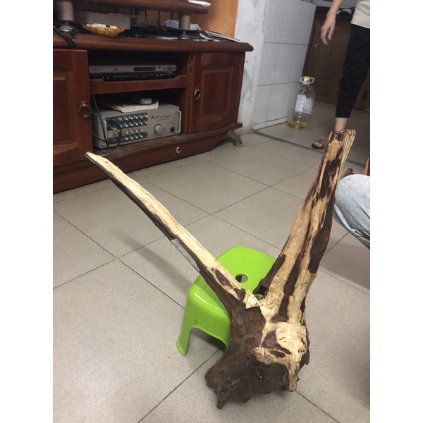 Gỗ lũa hàng rừng ghép lan