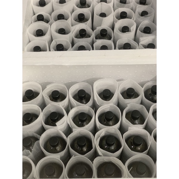 Cao Lá Nam Cô Đặc Chuẩn Loại 1