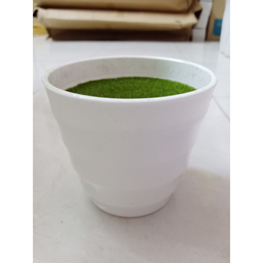 Chậu nhựa trồng cây - Có sẵn Phủ cỏ xanh