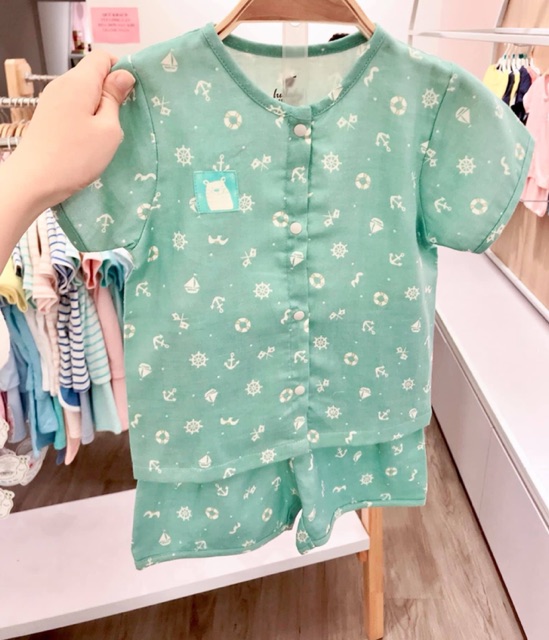 Bộ cúc giữa hè Lullaby