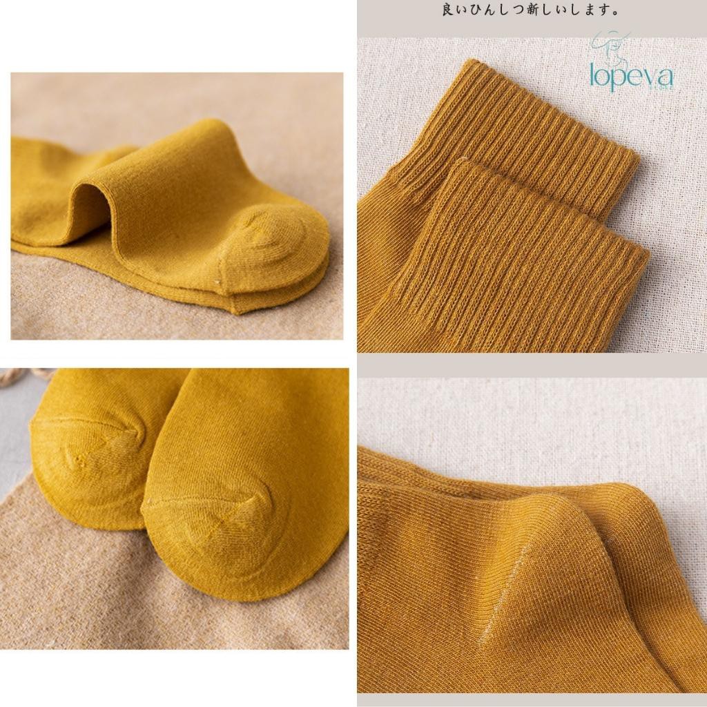 Tất Nữ Cổ Cao Style Hàn Quốc Vintage Cute Hoạt Hình Có Set 10 Đôi LOPEVA TV57