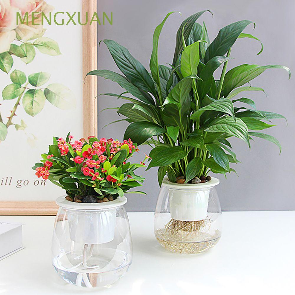 1 Chậu Trồng Cây Hình Tròn Hai Lớp Trang Trí Nhà Ở/Văn Phòng/Sân Vườn