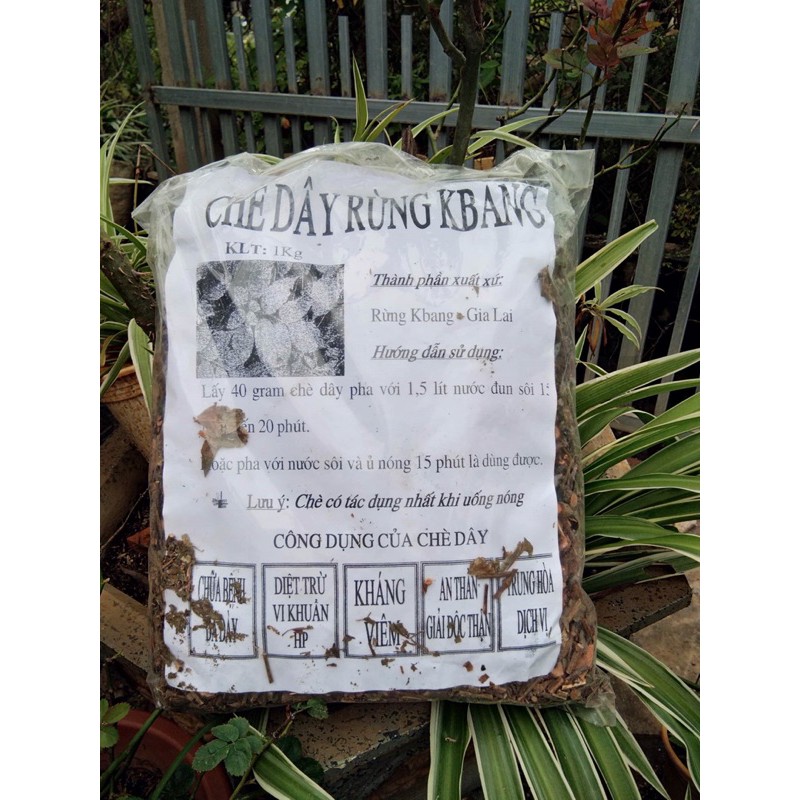 CHÈ(Trà) DÂY RỪNG KBANG 1kg