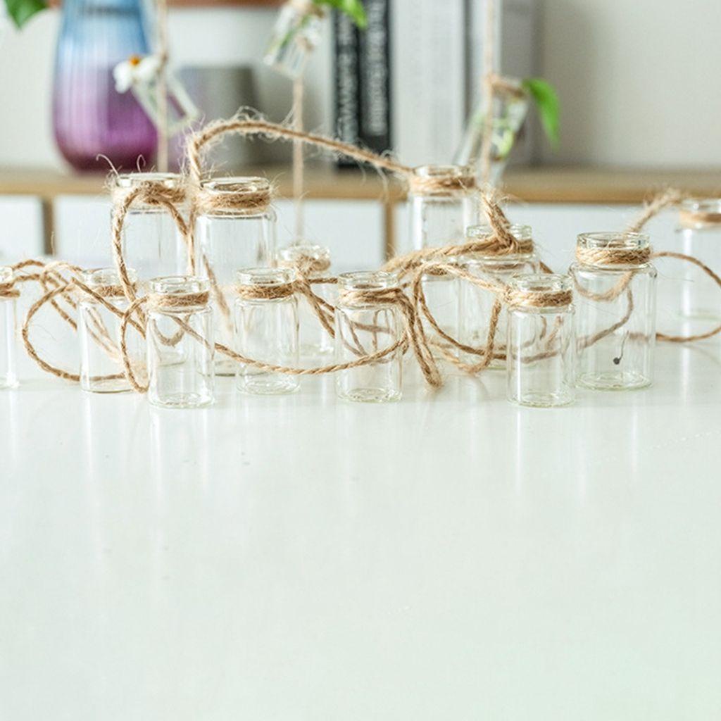 Bình Thủy Tinh Trồng Cây Thủy Canh 1 Dây Mini Kèm Chuông Gió Làm Đạo Cụ Chụp Ảnh