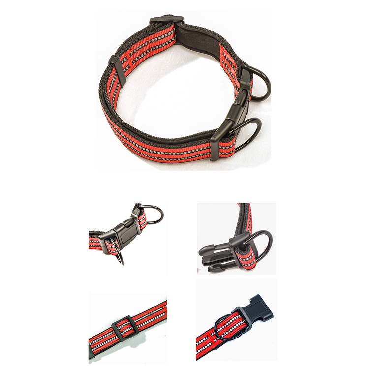 Dây xích Inox kèm vòng cổ cho chó