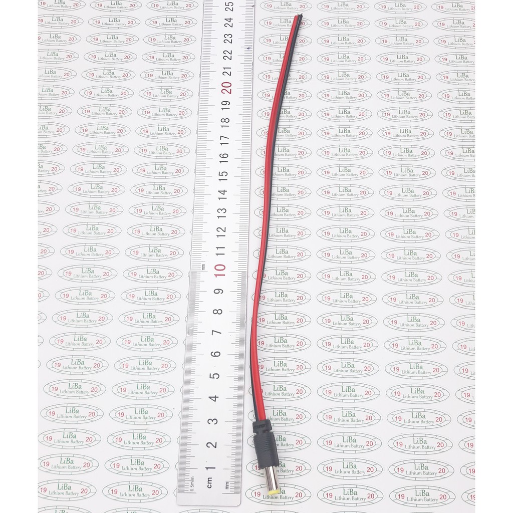 Zăc cắm 55*21 mm, 55*25 mm _ Liba