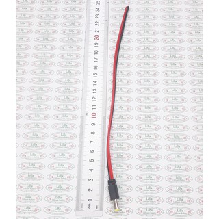Zăc cắm 5525 mm _ liba