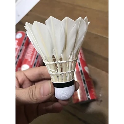 Combo 2 Vợt cầu lông Yonex Tặng kèm 2 trái cầu
