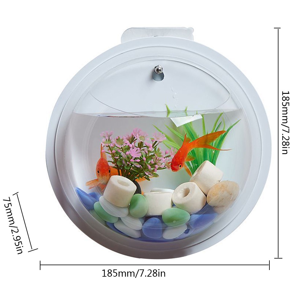 Bể cá treo tường trang trí bằng chất liệu Acrylic trong suốt