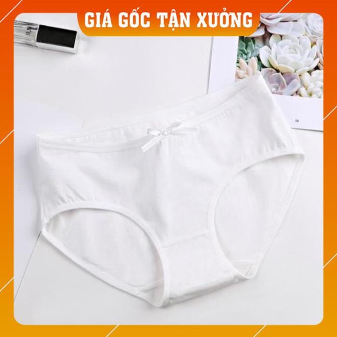 [Hàng Chất Lượng Cao]  Sét 04 quần Lót Cotton trơn Quảng Châu kháng khuẩn xuất Nhật Q1