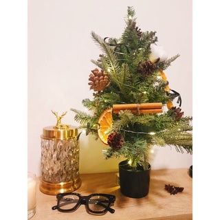 Cây thông Noel decor [cam, quế, thông sấy khô. dây đèn đom đóm]