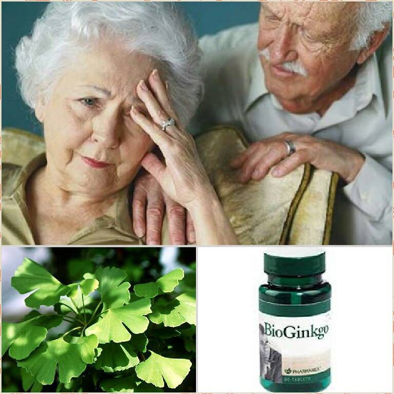 Sản phẩm Bio Ginkgo Nuskin | BigBuy360 - bigbuy360.vn