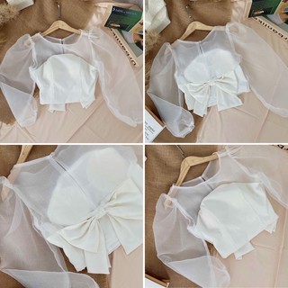 CROPTOP TRẮNG PHỐI SHEER NƠ LƯNG