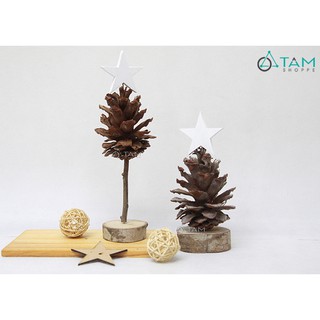 [NOEL-GIÁNG SINH-CÓ HỎA TỐC] Cây thông Noel trái thông gắn sao cao thấp X-TREE-37