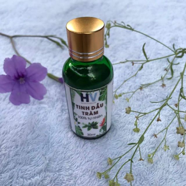 Tinh dầu tràm HV