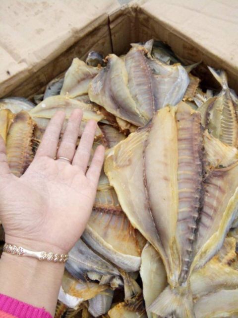 1kg CÁ CHIM BIỂN KHÔ