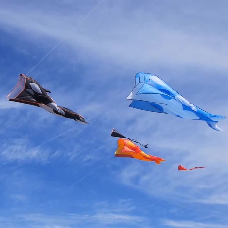 Diều Hình Cá Voi Khổng Lồ Giúp Giảm Căng Thẳng