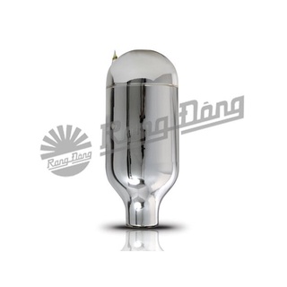phích nước Rạng Đông , ruột phích 2 lít