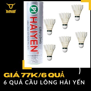 Quả cầu lông Hải Yến chính hãng, ống bạc ngắn, loại 6 trái, chơi cầu lông ngoài trời, công viên, tại nhà