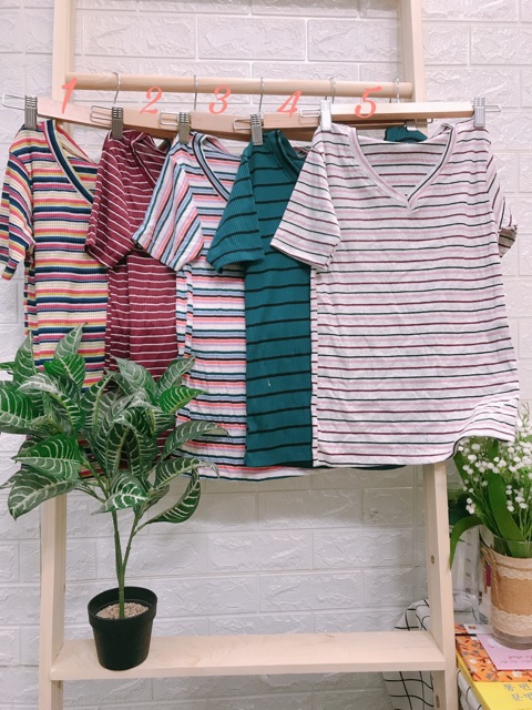 Áo body thun gân kẻ sọc HOT Hè ( hình thật 100% ) | BigBuy360 - bigbuy360.vn