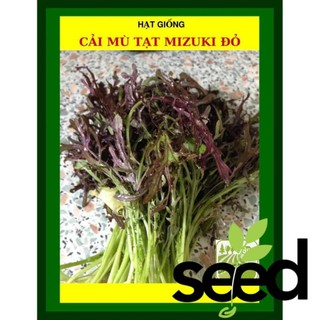 Hạt Giống Cải Mù Tạt Mizuki 10 Loại 10 Gram